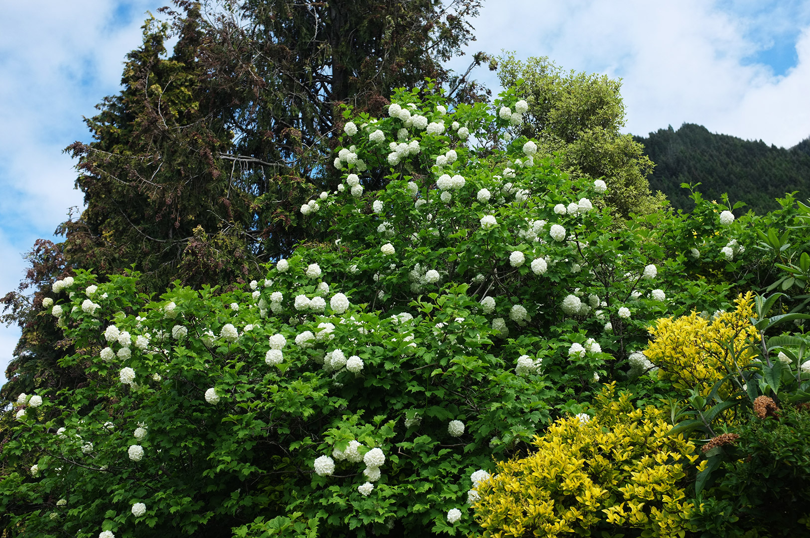 14 Hari Di New Zealand