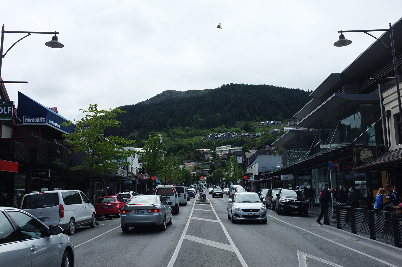 14 Hari Di New Zealand