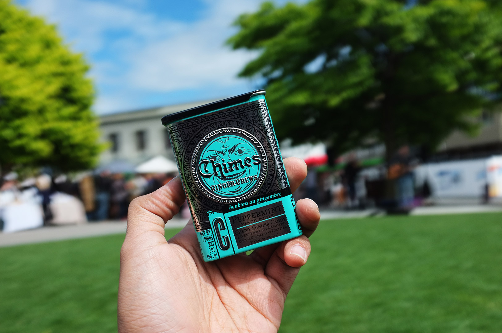 14 Hari Di New Zealand