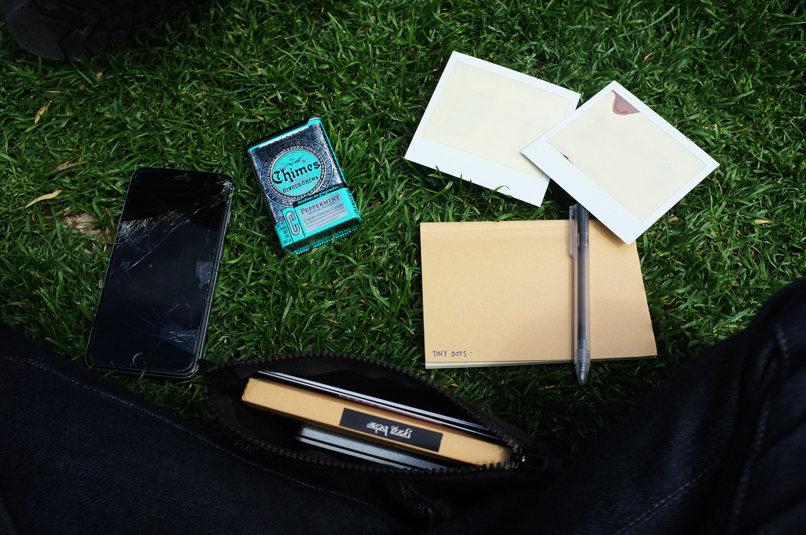 14 Hari Di New Zealand