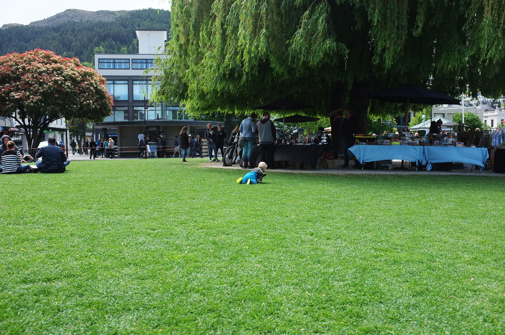 14 Hari Di New Zealand