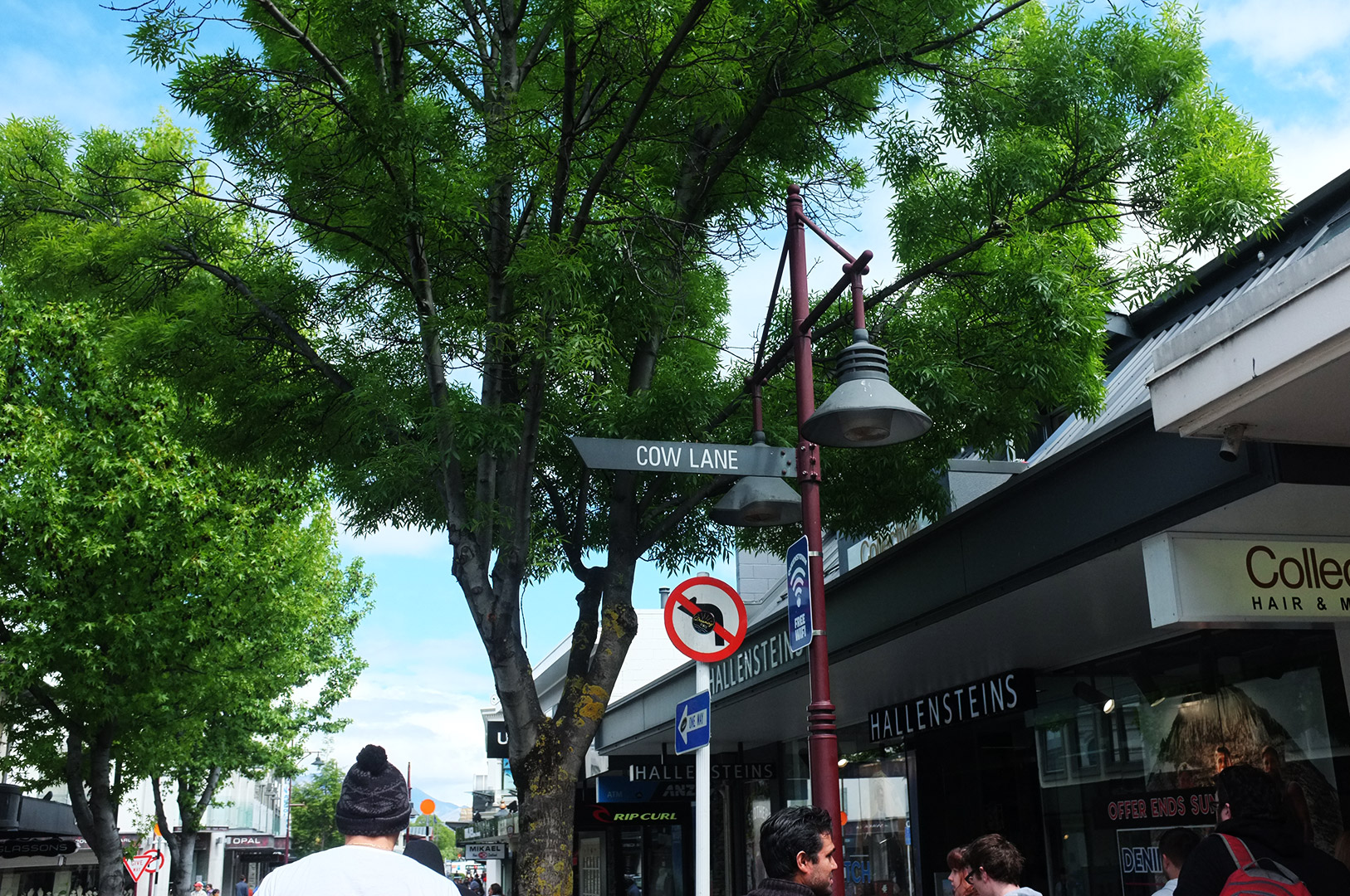 14 Hari Di New Zealand