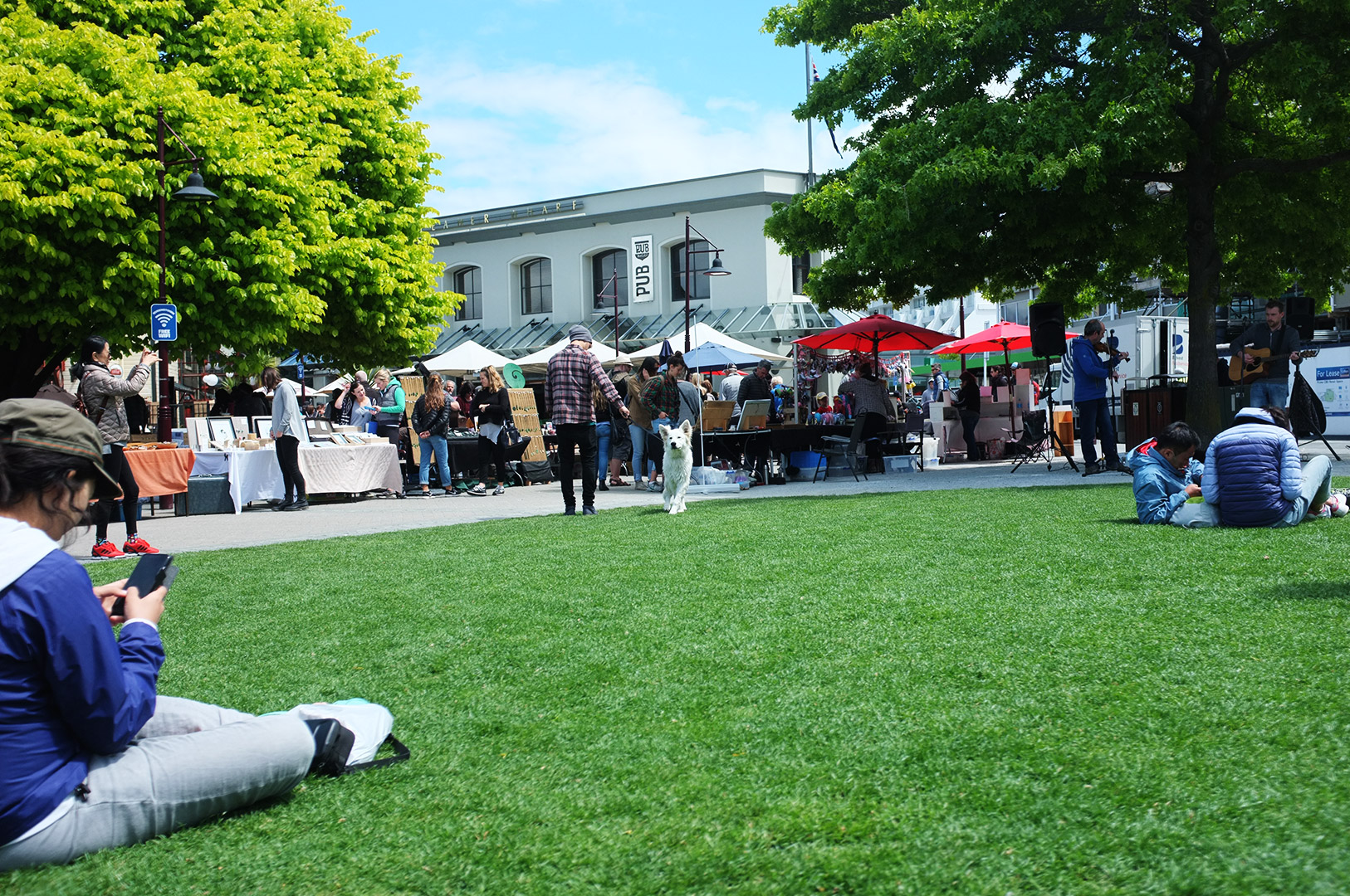 14 Hari Di New Zealand