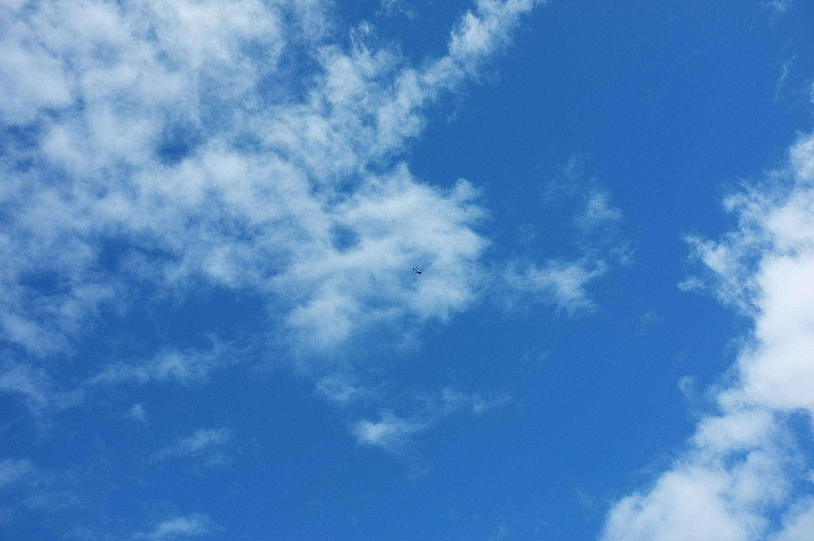 14 Hari Di New Zealand