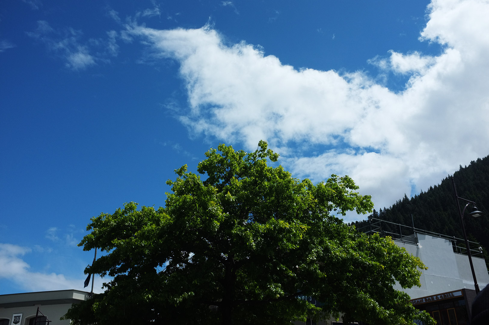 14 Hari Di New Zealand