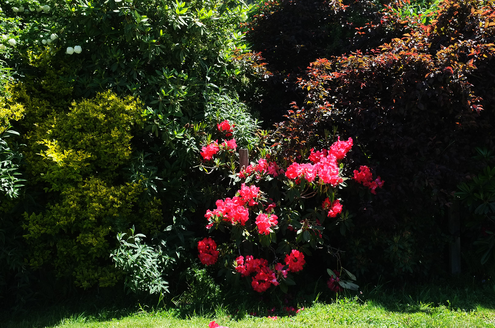 14 Hari Di New Zealand