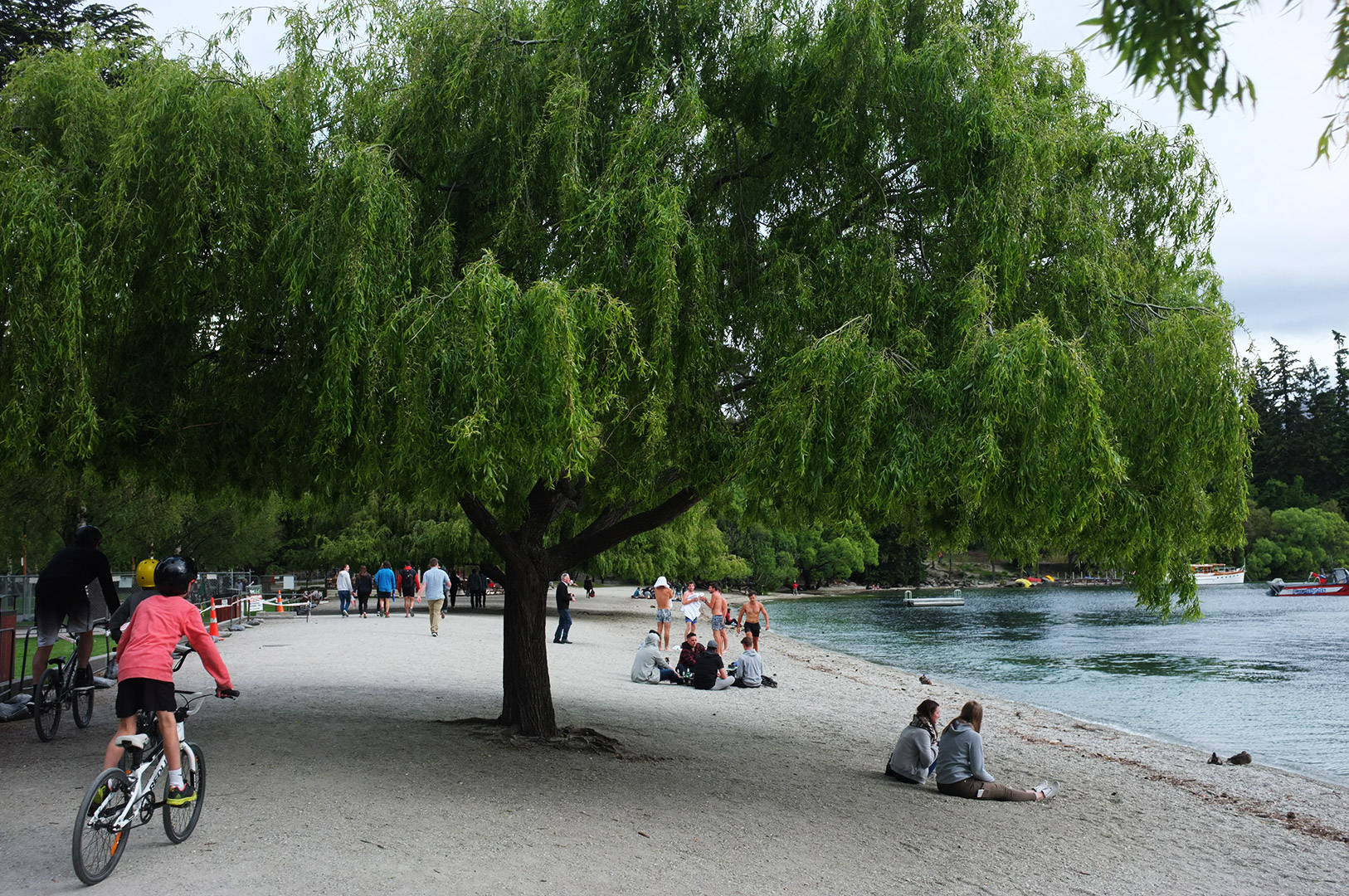 14 Hari Di New Zealand