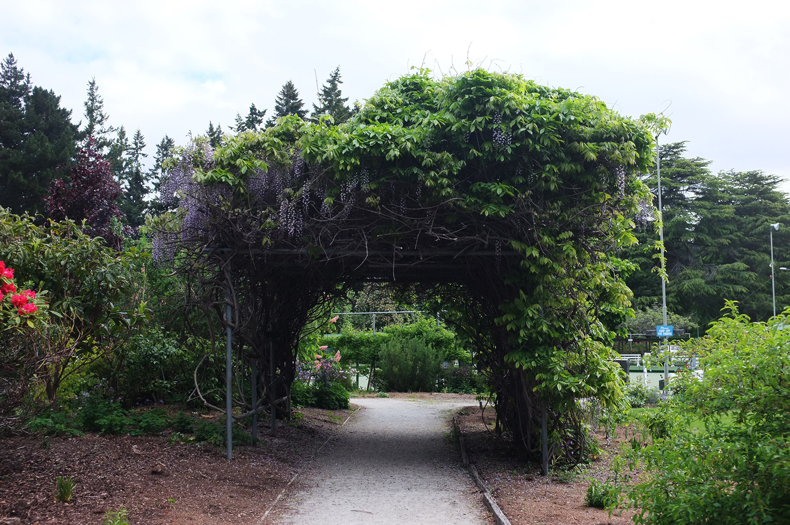 14 Hari Di New Zealand