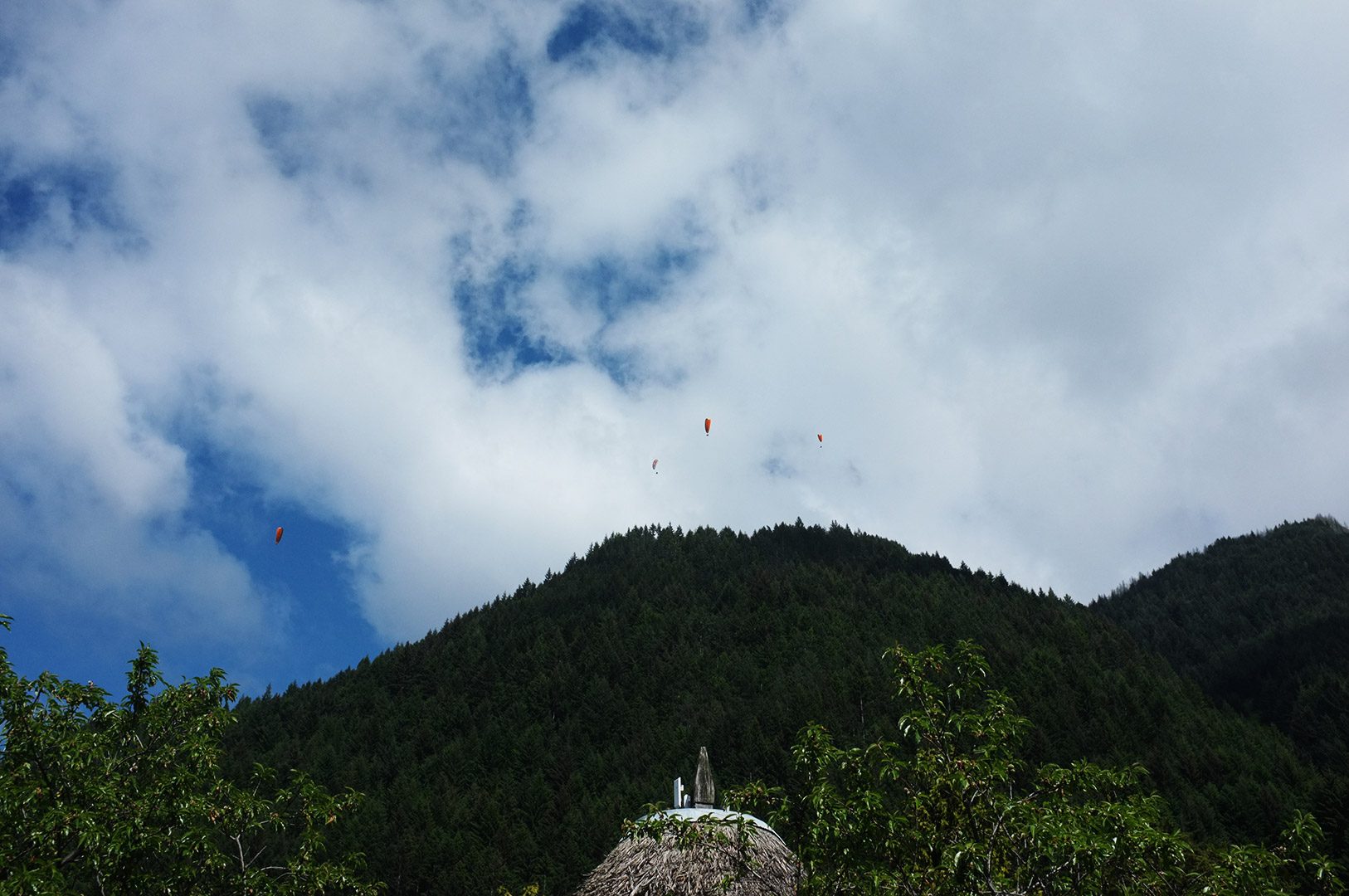 14 Hari Di New Zealand