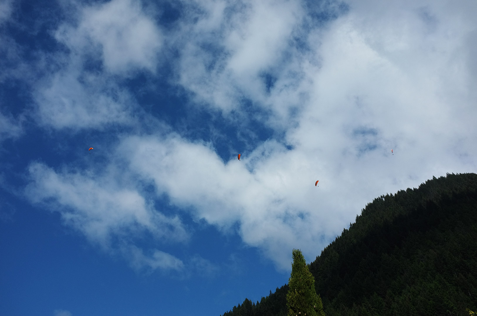 14 Hari Di New Zealand