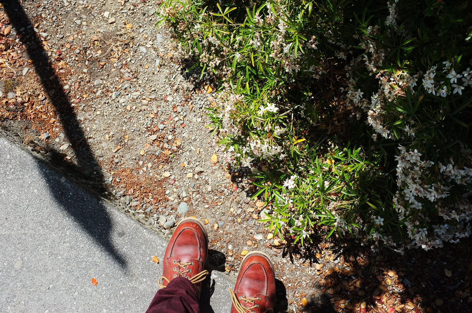 14 Hari Di New Zealand