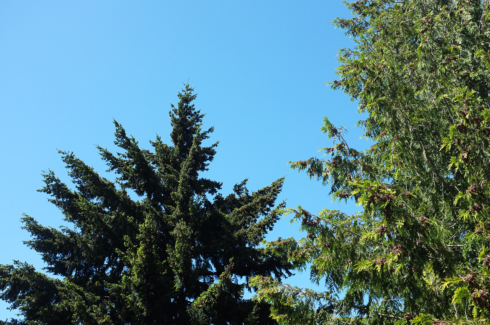 14 Hari Di New Zealand