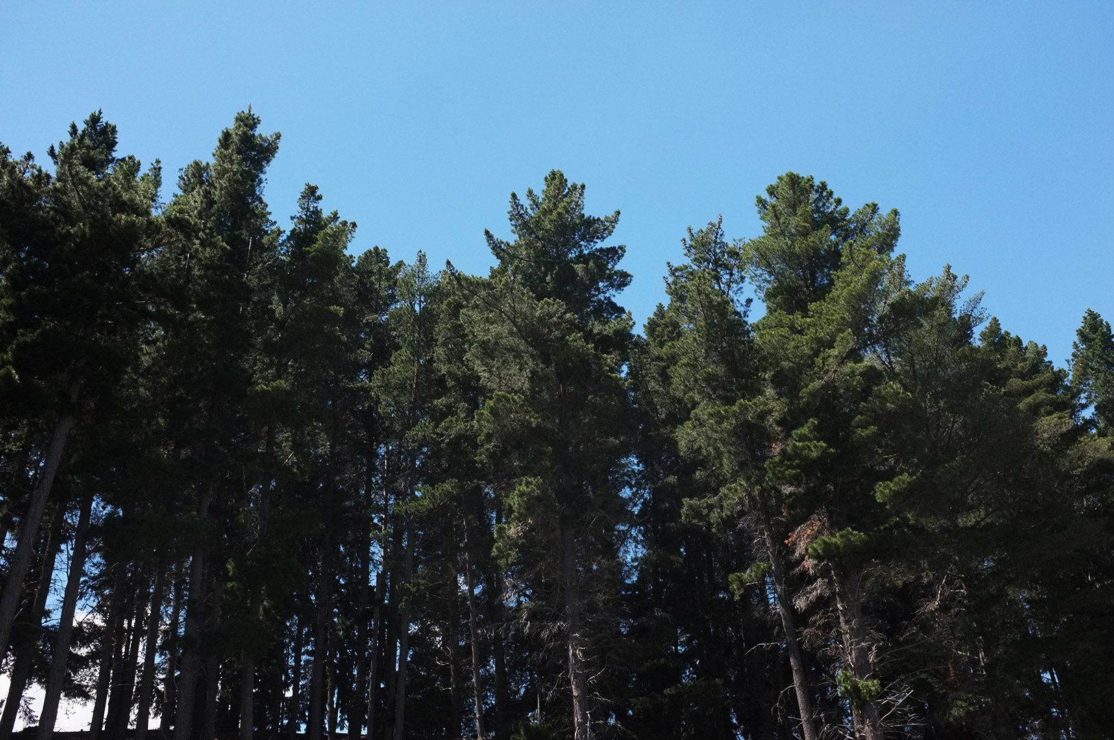 14 Hari Di New Zealand