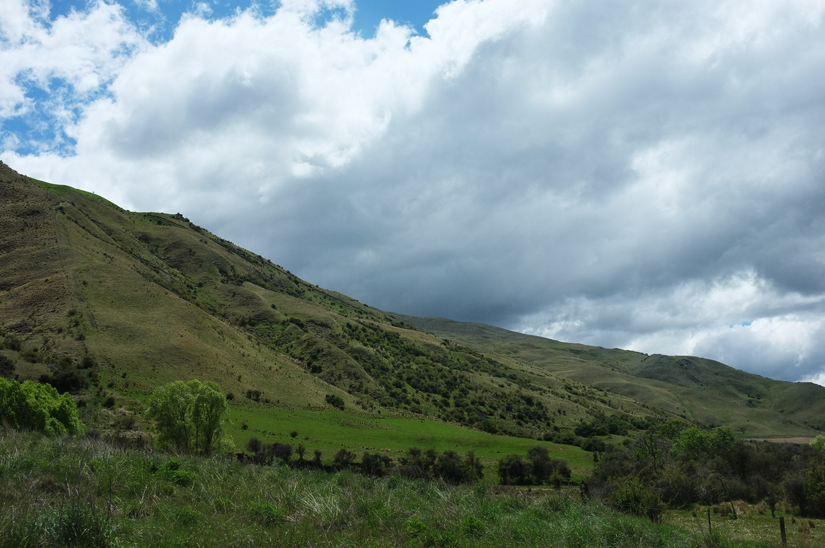 14 Hari Di New Zealand