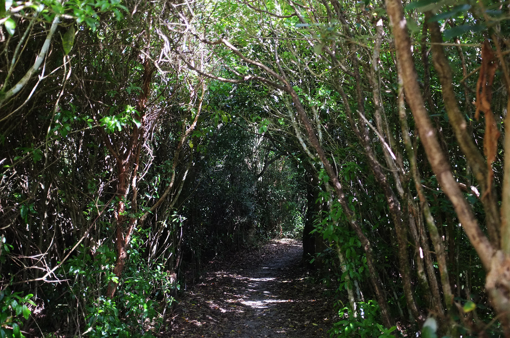 14 Hari Di New Zealand