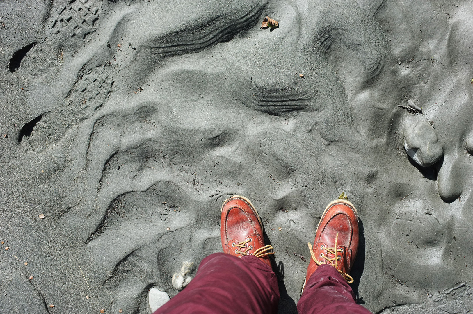 14 Hari Di New Zealand