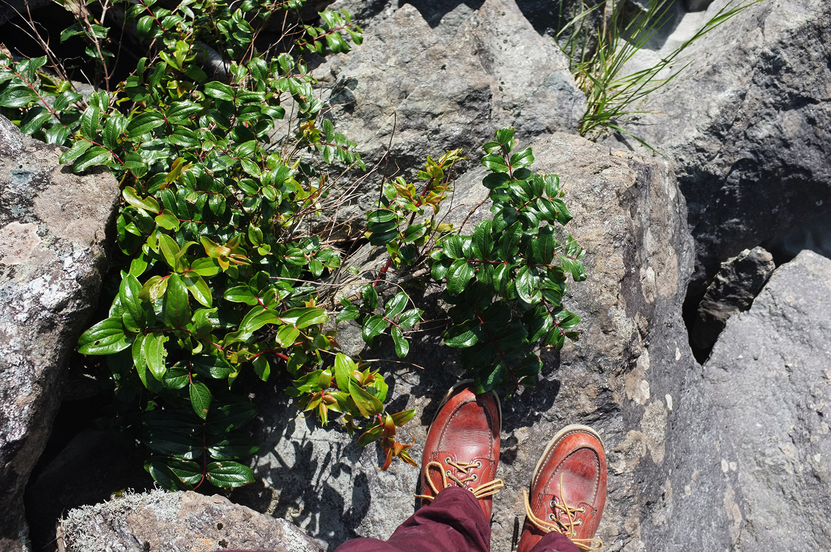 14 Hari Di New Zealand