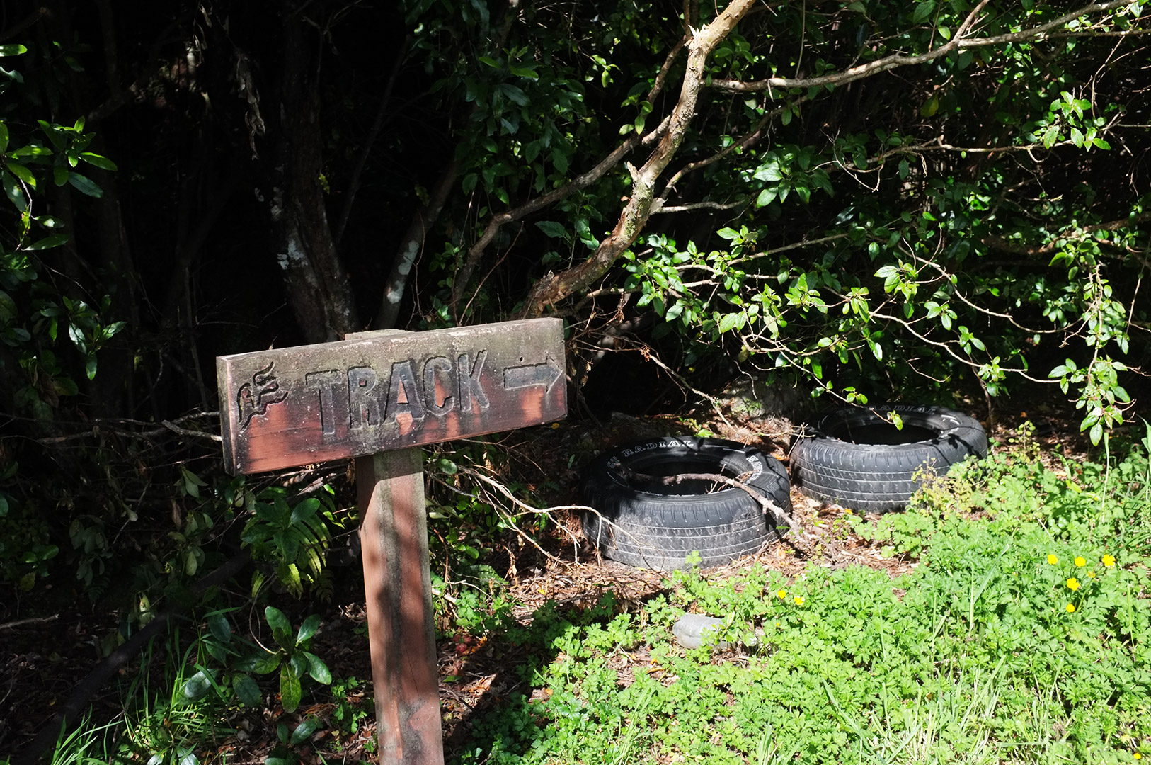 14 Hari Di New Zealand