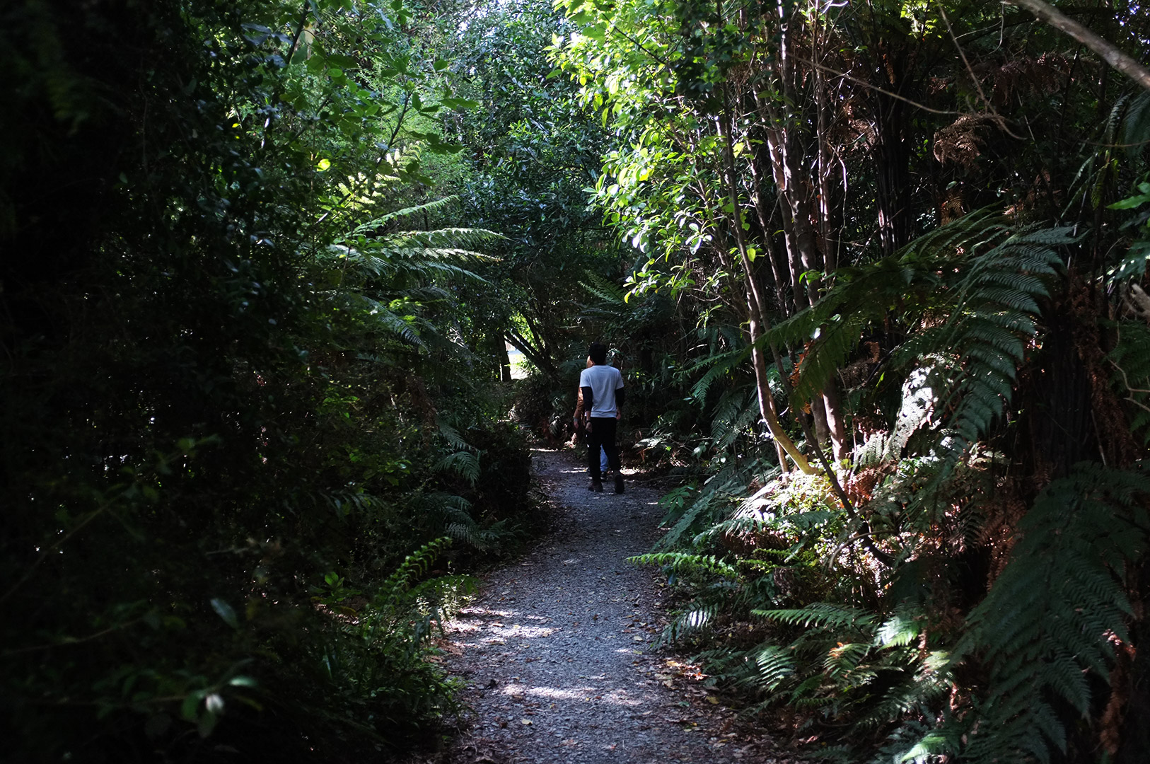 14 Hari Di New Zealand