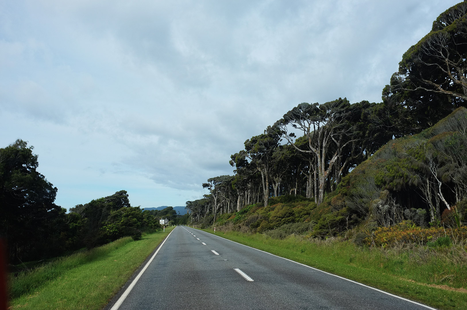 14 Hari Di New Zealand