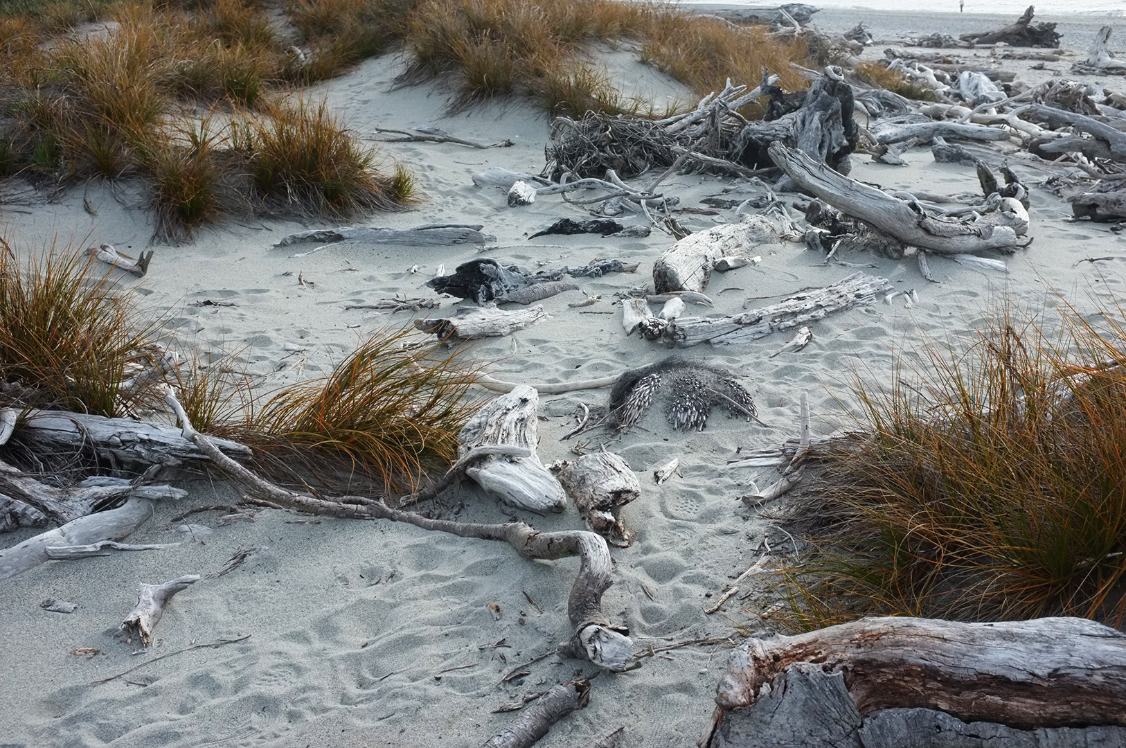 14 Hari Di New Zealand