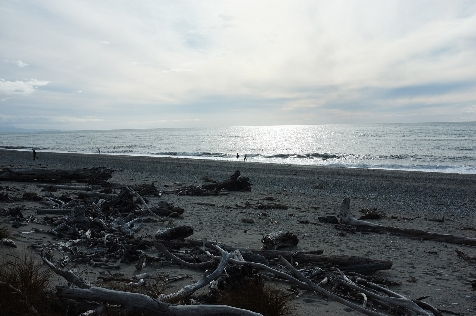 14 Hari Di New Zealand