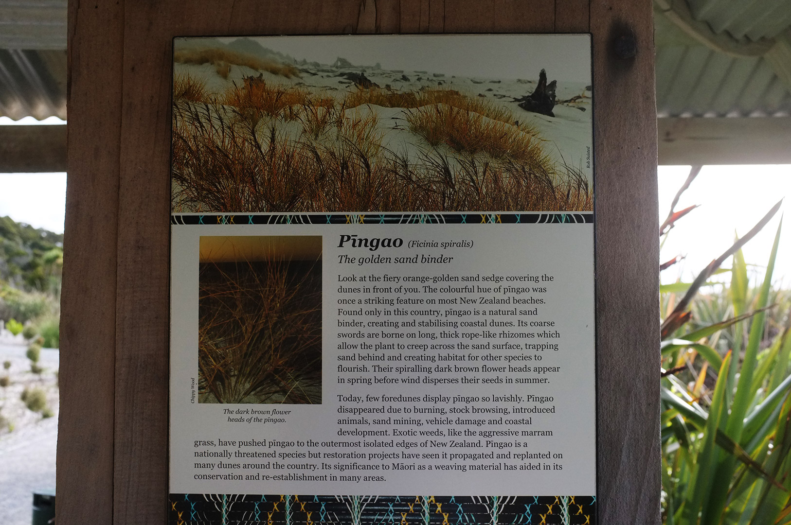 14 Hari Di New Zealand