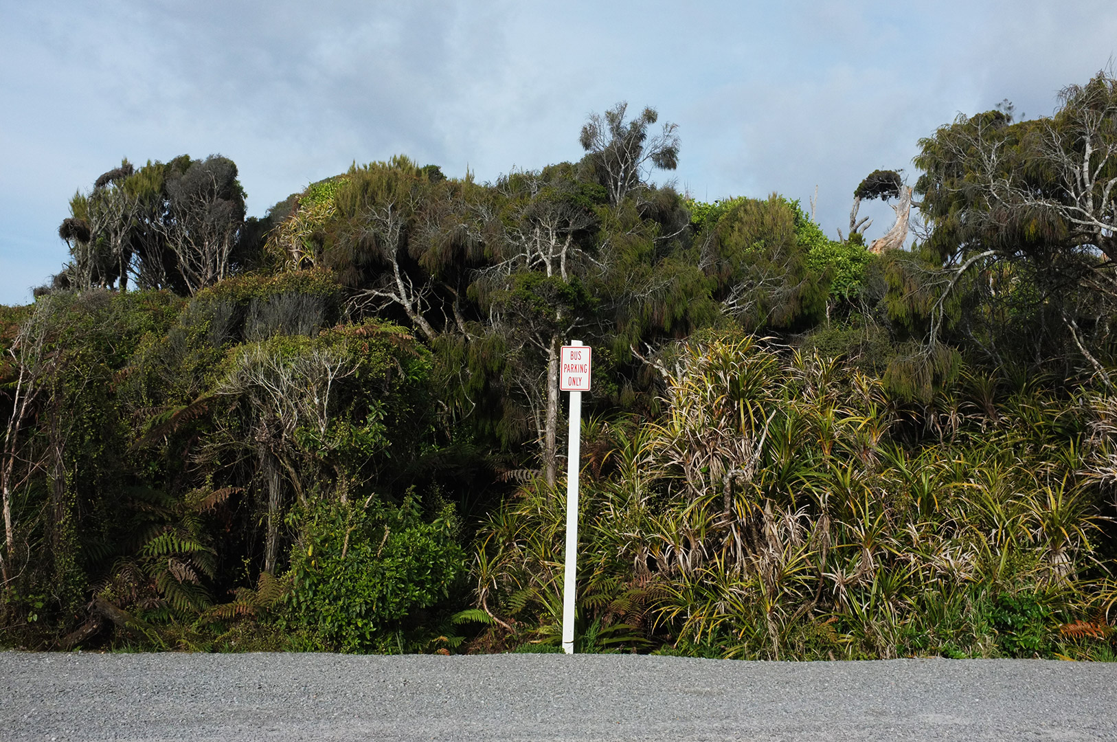 14 Hari Di New Zealand