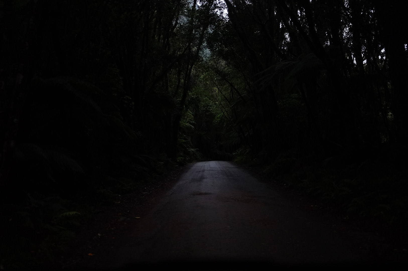 14 Hari Di New Zealand