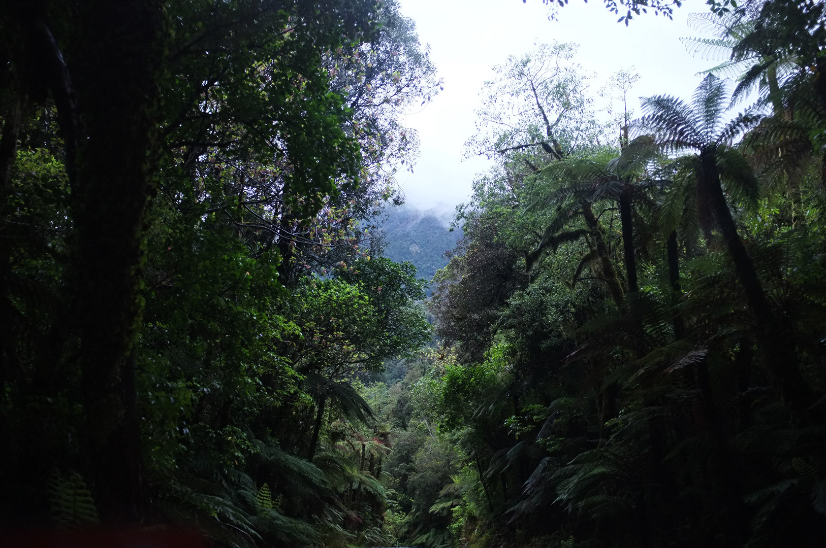 14 Hari Di New Zealand