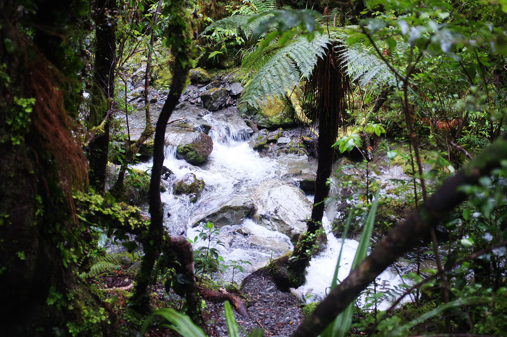 14 Hari Di New Zealand