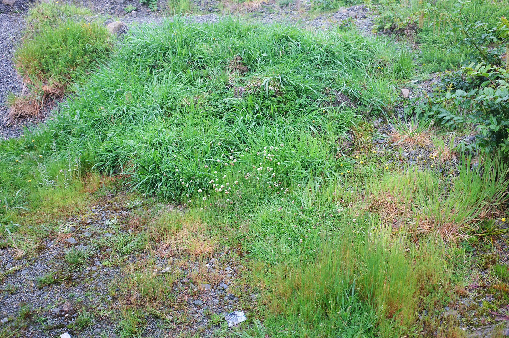 14 Hari Di New Zealand