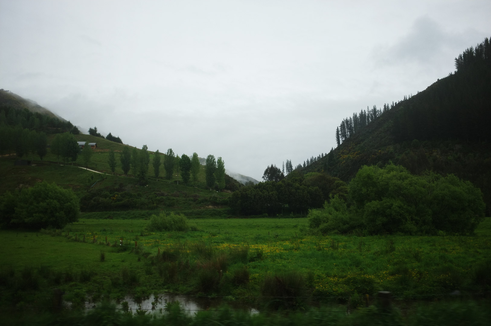 14 Hari Di New Zealand