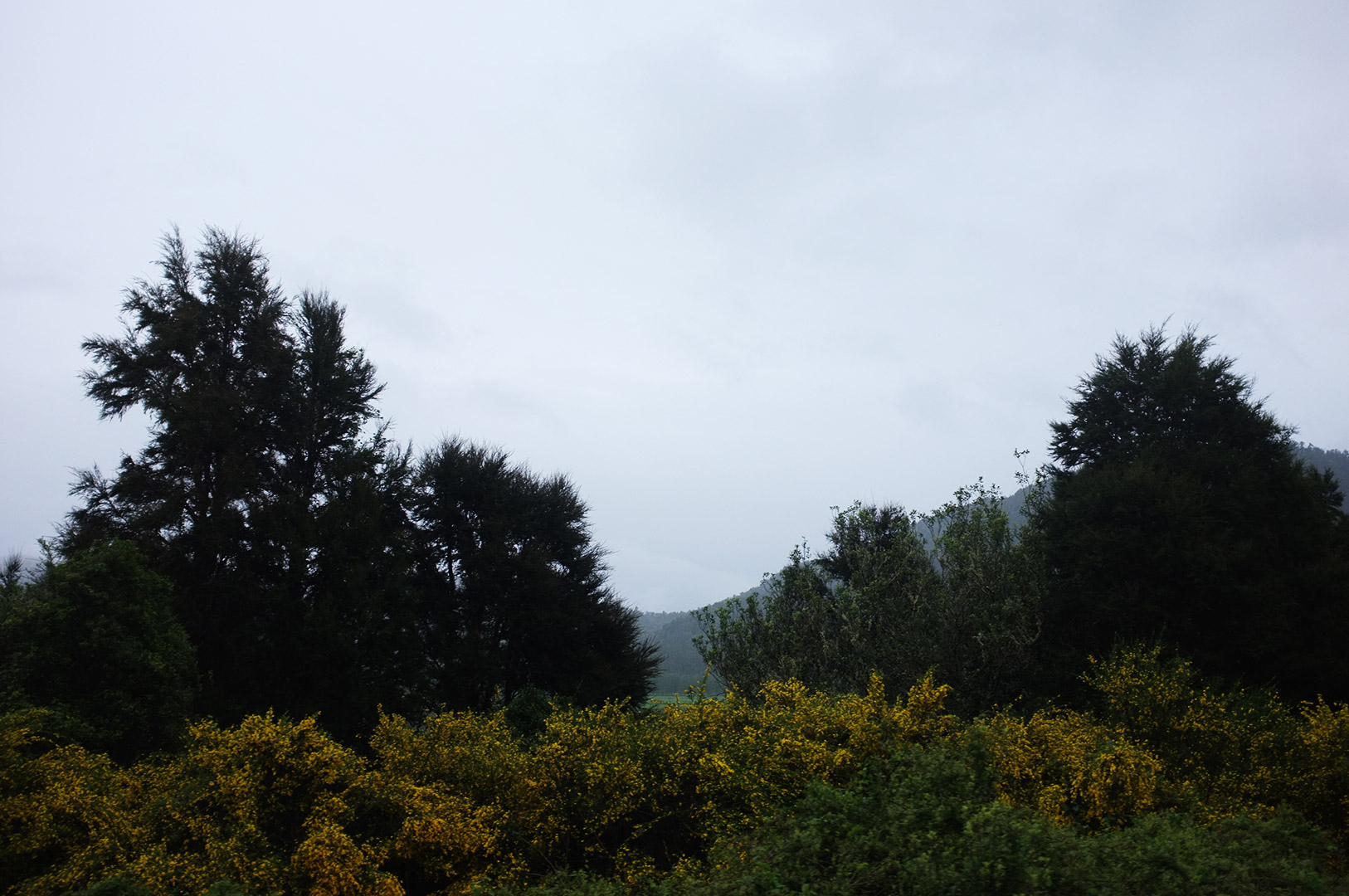 14 Hari Di New Zealand