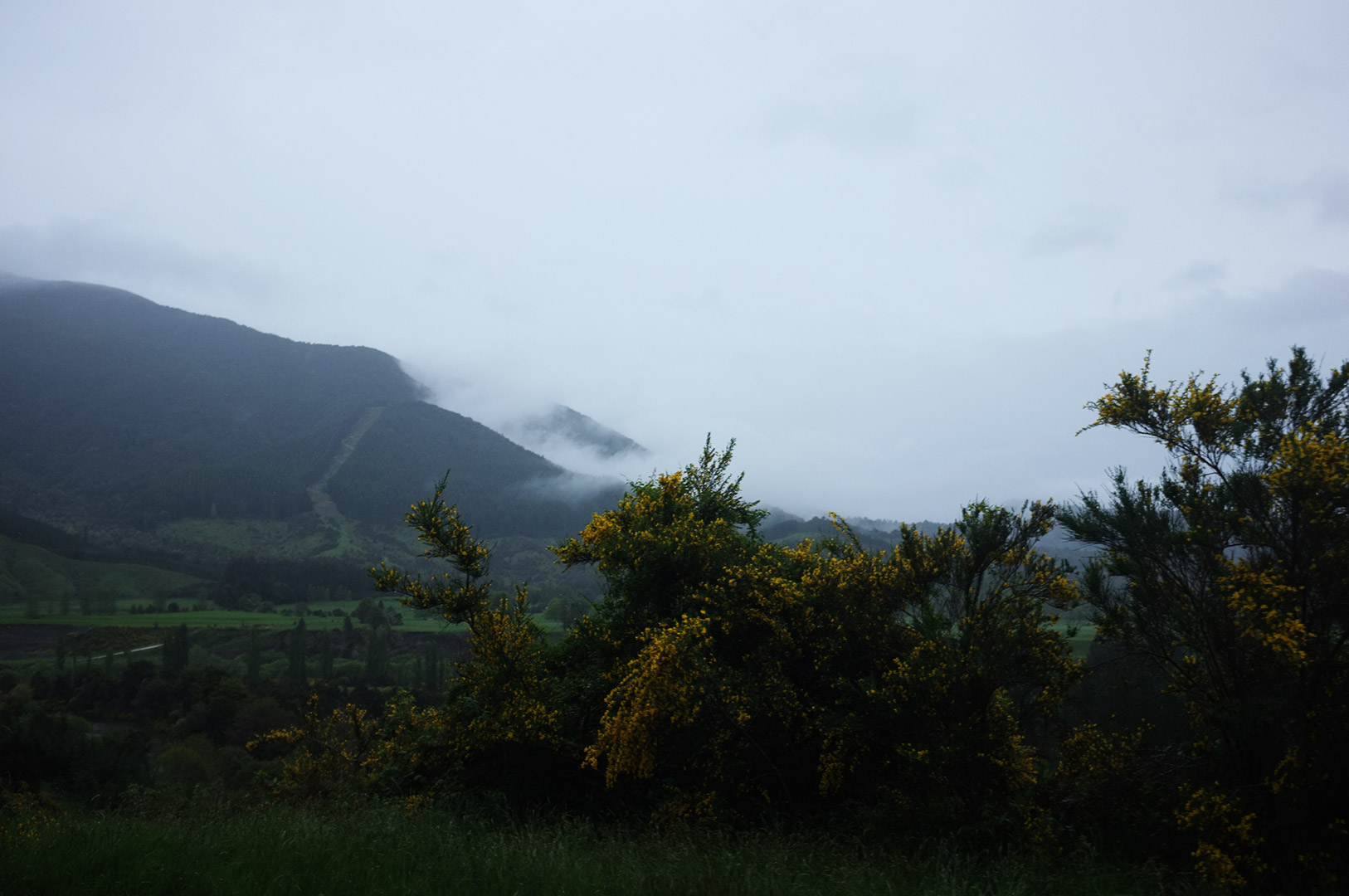 14 Hari Di New Zealand