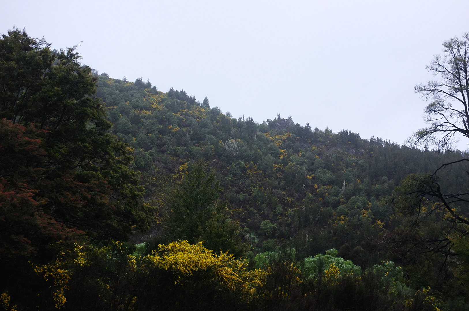 14 Hari Di New Zealand