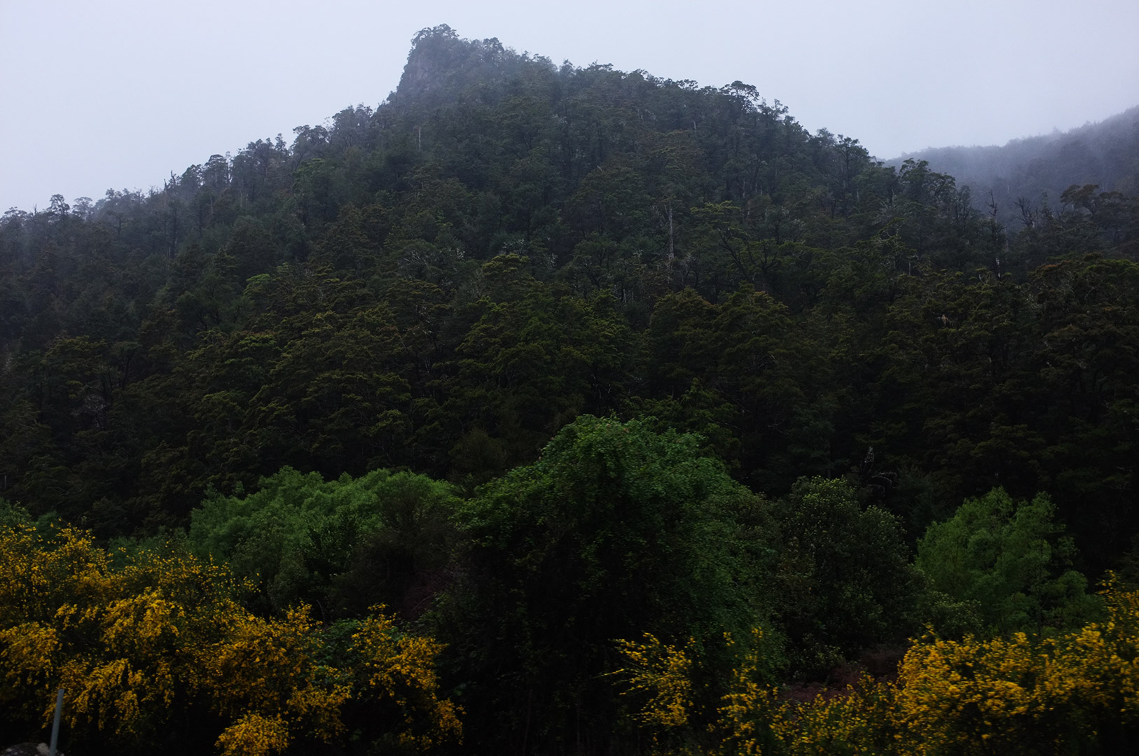 14 Hari Di New Zealand