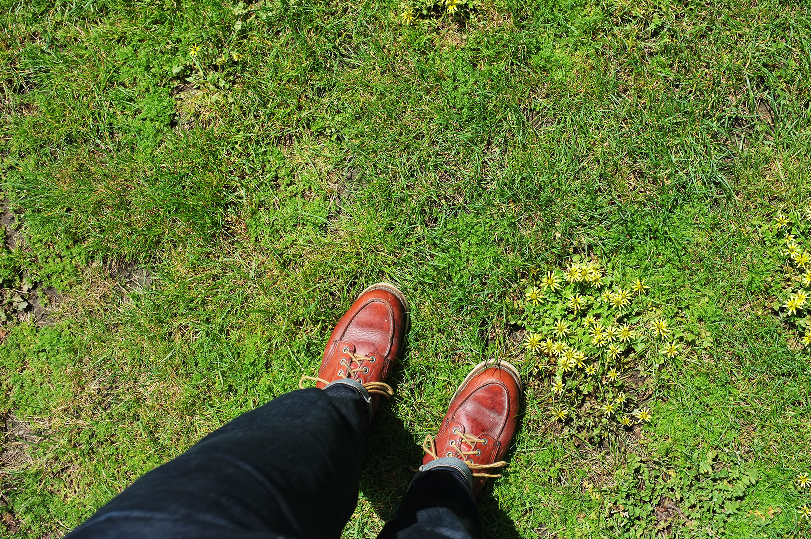 14 Hari Di New Zealand