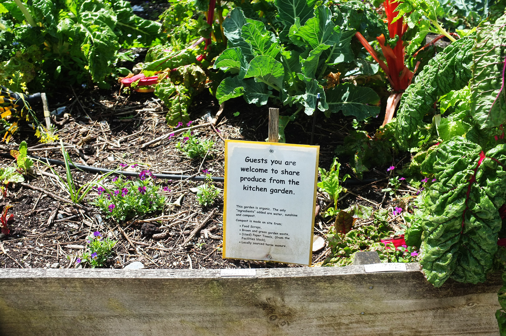 14 Hari Di New Zealand