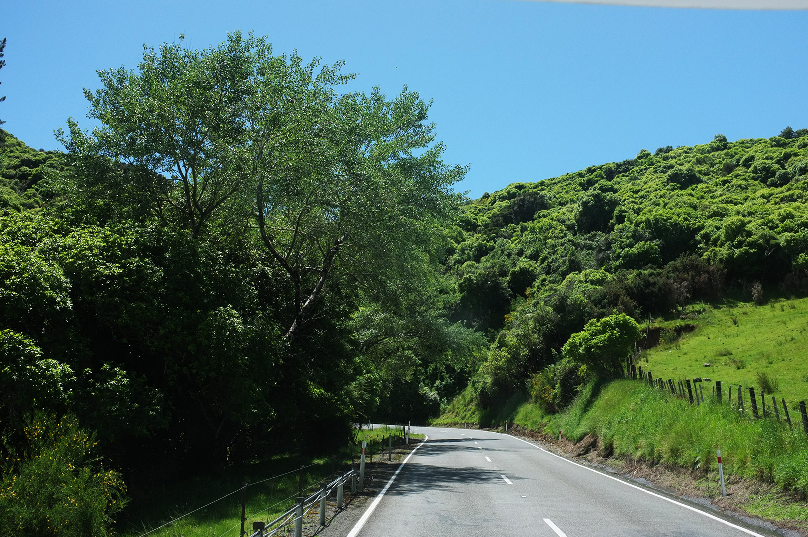 14 Hari Di New Zealand