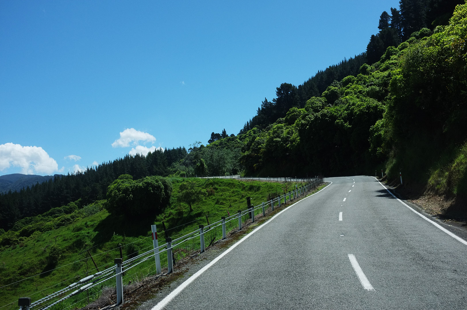 14 Hari Di New Zealand