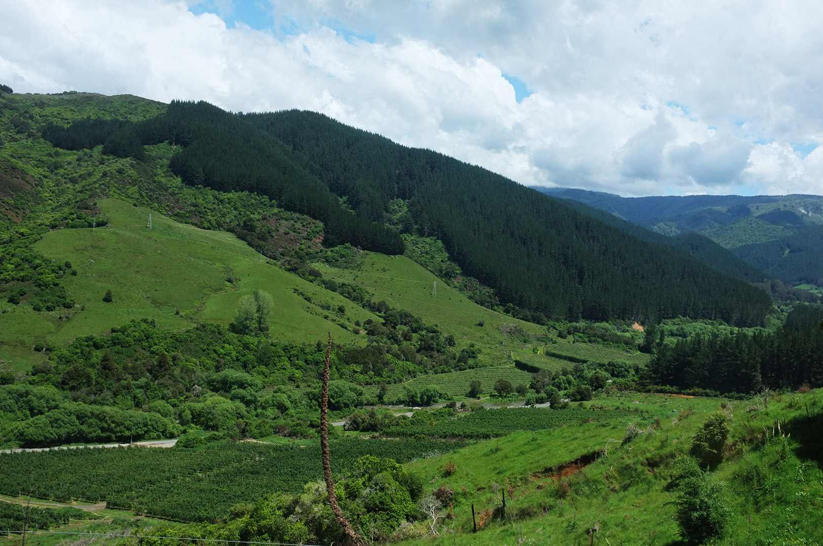 14 Hari Di New Zealand