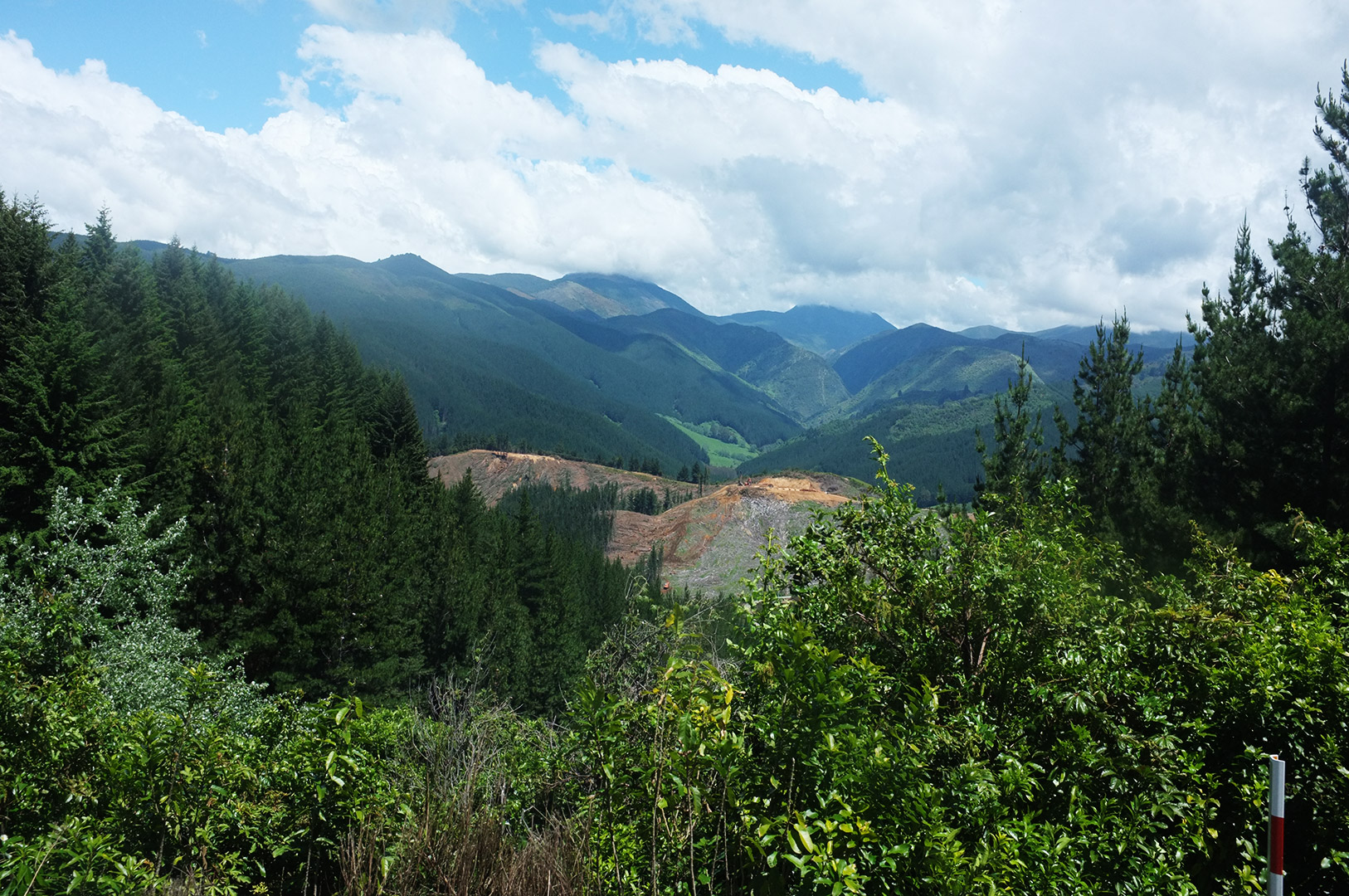 14 Hari Di New Zealand