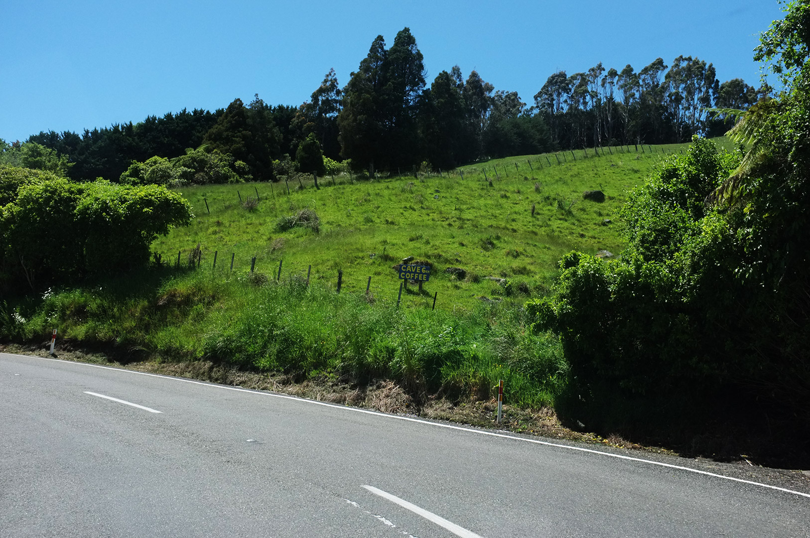 14 Hari Di New Zealand