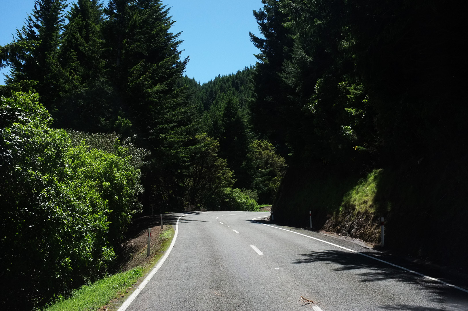 14 Hari Di New Zealand