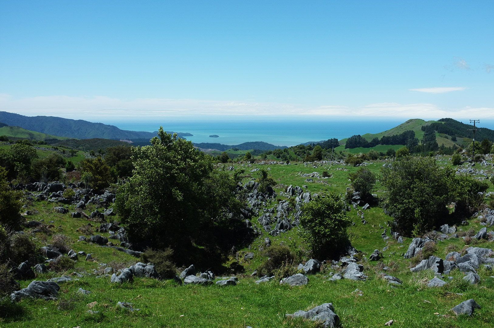 14 Hari Di New Zealand