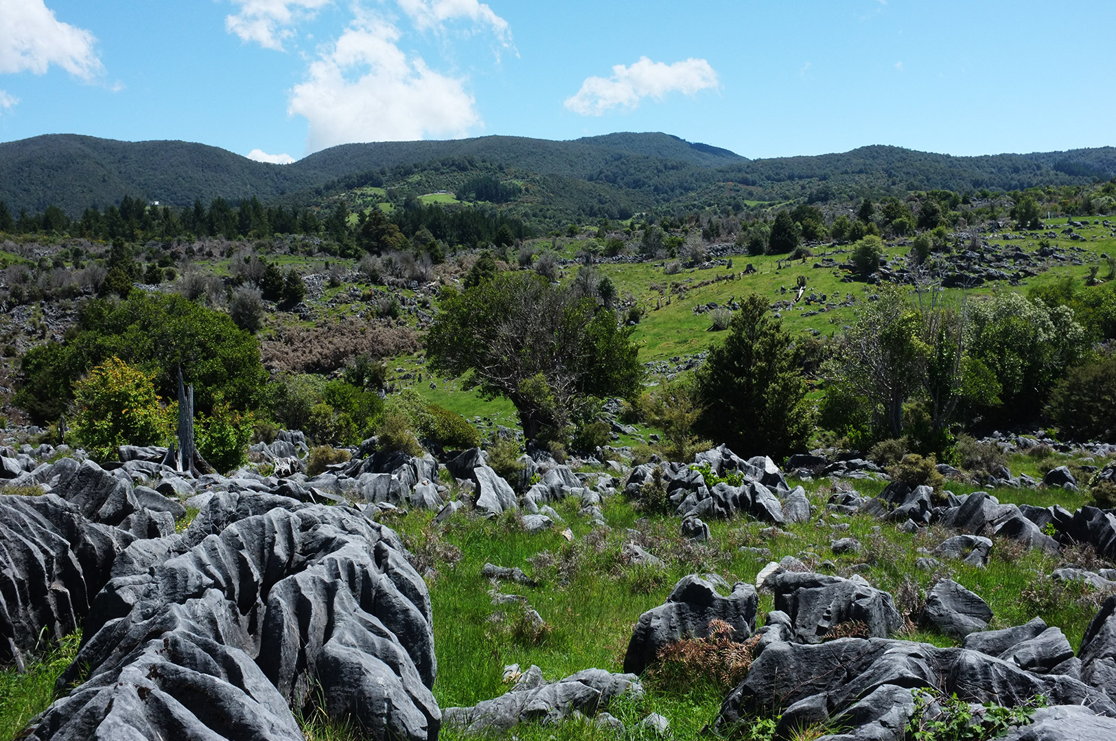 14 Hari Di New Zealand