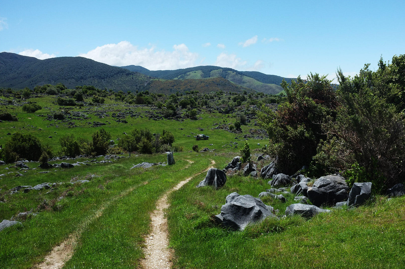 14 Hari Di New Zealand