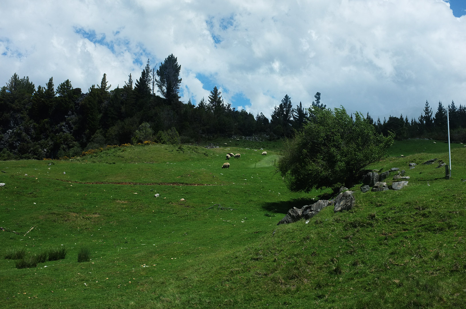 14 Hari Di New Zealand