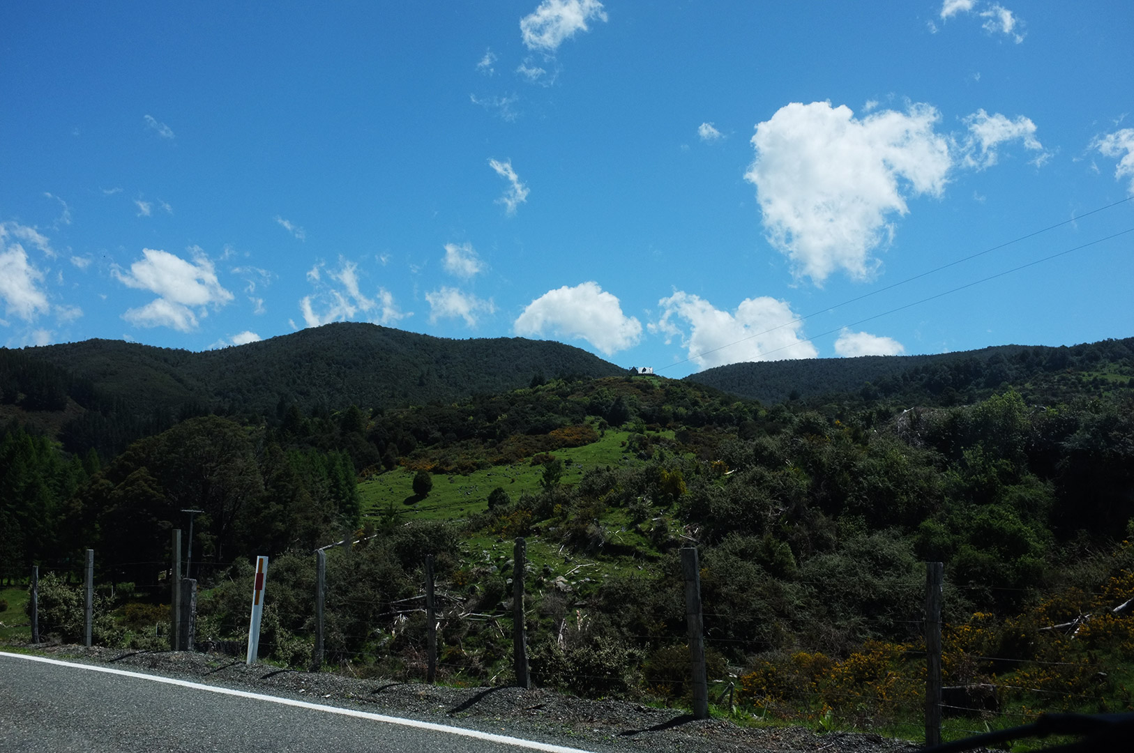 14 Hari Di New Zealand